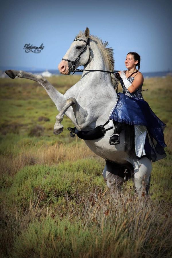 דירות Kembs Repos Rouge-Plaisir Au Milieu Des Chevaux מראה חיצוני תמונה
